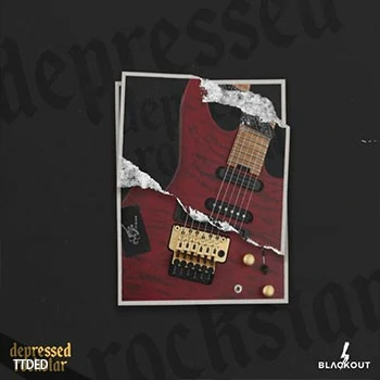 [嘻哈说唱采样]Blvckout Depressed Rockstar [WAV]（155Mb）