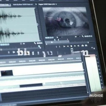000+高保真音效和配乐元素 – 789TEN The Ultimate Filmmakers SFX Bundle