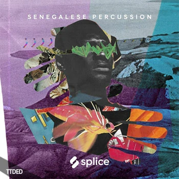 [塞内加尔打击乐器采样]Splice Sessions Senegalese Percussion [WAV]（222Mb）