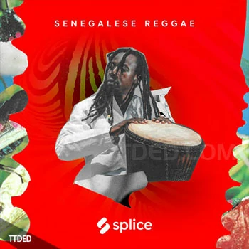[雷鬼Dub采样]Splice Sessions Senegalese Reggae [WAV]（462Mb）