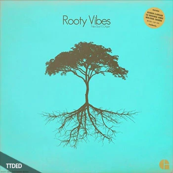 [氛围陷阱RnB素材]Patchbanks Rooty Vibes [AiFF]（170Mb）