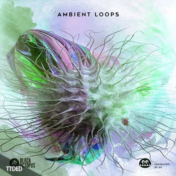 [环境氛围采样]Black Octopus Sound AK Ambient Loops [WAV]（102Mb）