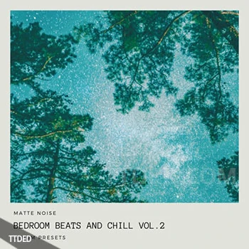[Serum预置氛围环境]GOGOi Bedroom Beats and Chill Vol.2（13Mb）