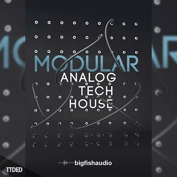 [模块化合成器电子科技舞曲素材]Big Fish Audio Modular Analog Tech House [多格式]（12.66Gb）