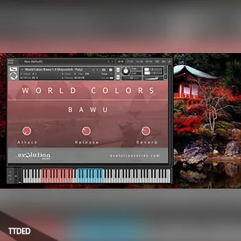 [民族乐器巴乌音源]Evolution Series World Colors Bawu v1.0 [KONTAKT]（646Mb）