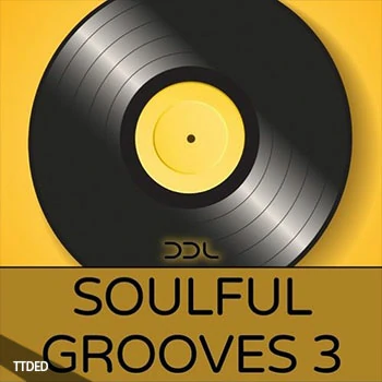 [灵魂RnB素材]Deep Data Loops Soulful Grooves 3 [WAV, MiDi]（533Mb）