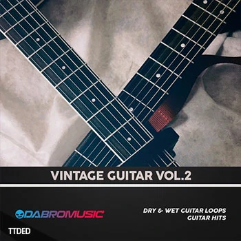 [怀旧乐吉他素材]DABRO Music Vintage Guitar Vol.2 [WAV, REX]（540Mb）