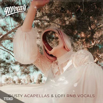 [低保真RnB人声采样]91Vocals Dusty Acapellas And Lo-Fi Rnb Vocals [WAV]（677Mb）