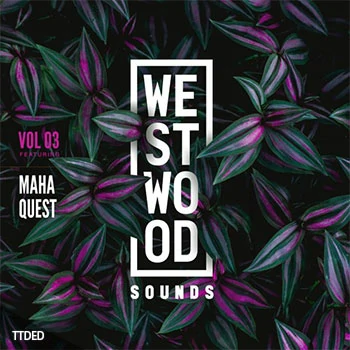 [毛刺嘻哈放克采样Serum预置]Black Octopus Sound Westwood Sounds Vol.3 Maha Quest [WAV]（331Mb）