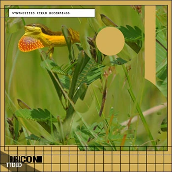 [氛围电子采样]Rubicon Synthesized Field Recordings [WAV]（239Mb）