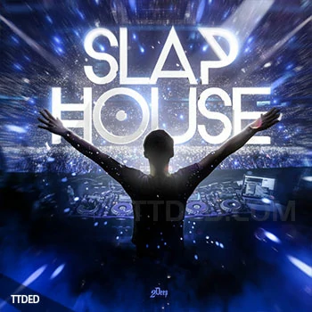 [House浩室素材]2DEEP Slap House [WAV, MiDi]（405Mb）