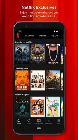 网飞netflix 官网中文版手机软件app截图