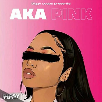 [灵魂RnB采样]Diggy Loops Aka Pink [WAV]（73Mb）