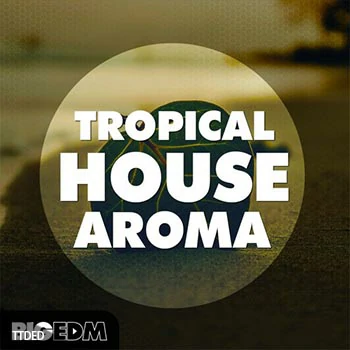 [Tropical House素材Serum预置Spire预置Sylenth1预置]Big Edm Tropical House Aroma [WAV, MiDi]（477Mb）