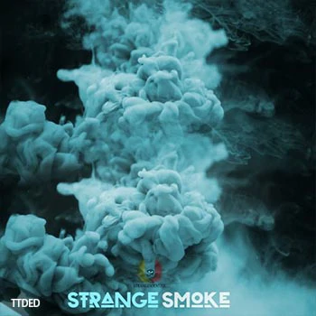 [嘻哈说唱陷阱采样]Strangesol Music Strange Smoke [WAV]（220Mb）