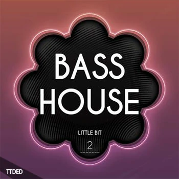 [低音浩室采样]Little Bit Bass House 2 [WAV]（204Mb）
