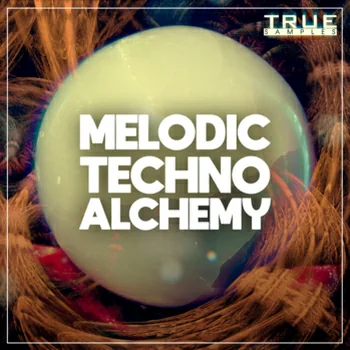 True Samples Melodic Noise MULTi-FORMAT-DISCOVER