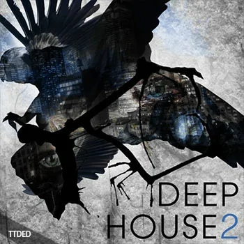 [Deep深邃舞曲采样]SPF Samplers Deep House 2 [WAV]（244Mb）