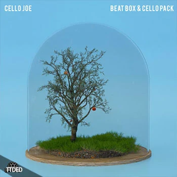 [嘻哈说唱采样]Dome of Doom Cello Joe Beatbox And Cello Pack [WAV]（338Mb）