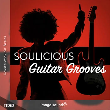 [摇滚金属吉他采样]Image Sounds Soulicious Guitar Grooves 1 [WAV]（2.2Gb）
