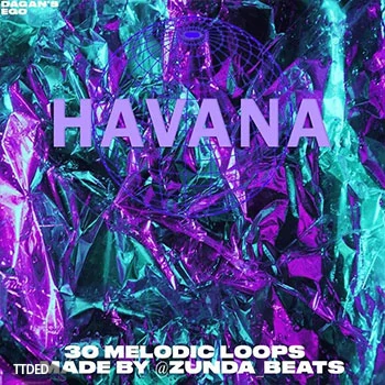 [氛围民族热带舞曲采样]@Zunda Beats Havana Loop Kit [WAV]（478Mb）