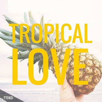 [Tropical House热带休闲舞曲素材]Out Of Your Shell Tropical Love Vol.1 [WAV, MiDi]（337Mb）