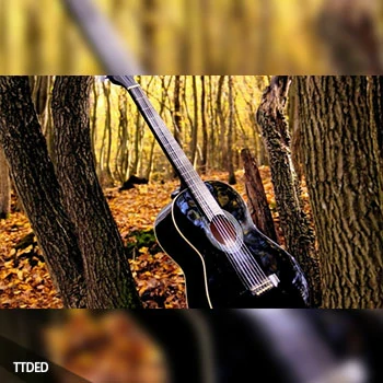 [教程]Udemy Learn Guitar quickly & simply! Crash course for beginners（662Mb）
