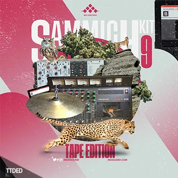 [嘻哈说唱采样]MSXII Sound Design Sammich Kit Vol.9 (Tape Edition) [WAV]（10Mb）