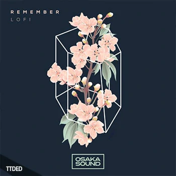 [低保真嘻哈说唱采样]Osaka Sound Remember Lo-Fi [WAV]（109Mb）