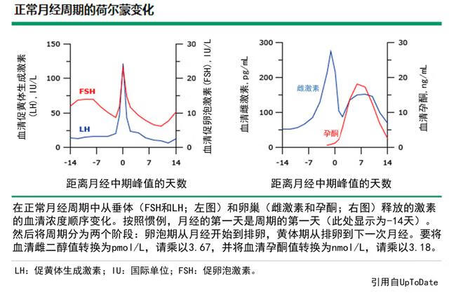 雌二醇片的正确吃法(雌二醇片的功效与作用)