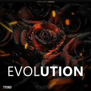 [Trap素材+FL工程模板]Cartel Loops Evolution（433Mb）