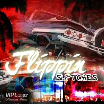VIP Loops Flippin Switches MULTiFORMAT DVDR-DYNAMiCS