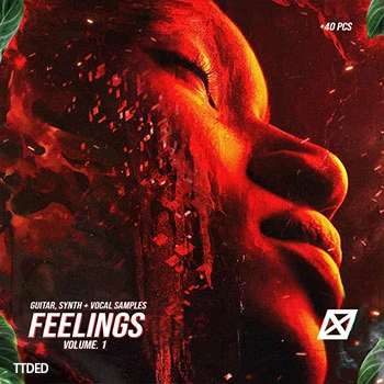 [嘻哈说唱吉他人声合成音色采样]nofuk FEELINGS Vol.1 guitar + vocal + synths library WAVE [WAV]（302Mb）