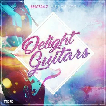[嘻哈RnB吉他采样]BEATS24-7 Delight Guitars [WAV]（52Mb）