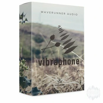 特色打击乐 – Waverunner Audio Rosehip Vibes [KONTAKT]