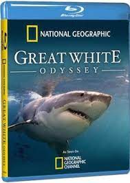 国家地理：大白鲨的长途冒险旅程线上看