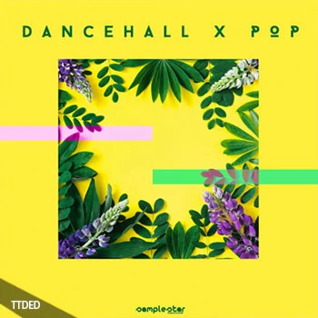 [Pop流行素材]Samplestar Dancehall x Pop [WAV, MiDi]（180Mb）