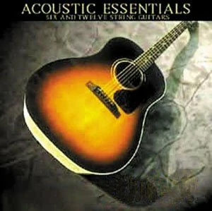 Bigga Giggas Accoustic Essentials Vol.1 KONTAKT