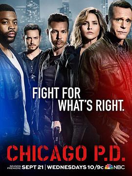 芝加哥警署第四季的海报