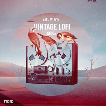[怀旧低保真素材]Black Octopus Sound Reel to Reel Vintage Lofi [WAV, MiDi]（518Mb）