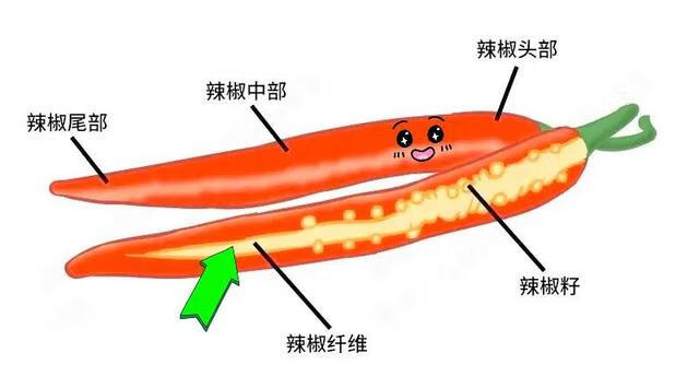 切辣椒辣到手了怎么办(弄辣椒之后手好辣好热怎么办)