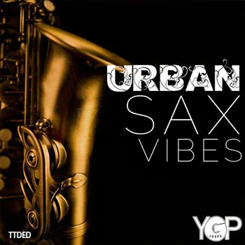 [都市嘻哈爵士RnB萨克斯采样]Big Citi Loops Urban Sax Vibes [WAV]（60Mb）