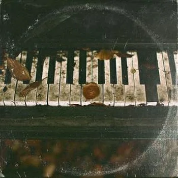 Tropical Samples Reggae Drums WAV