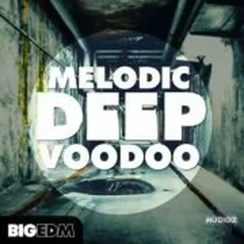 Big EDM Melodic Deep Voodoo MULTiFORMAT