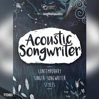 [乡村乐素材]Dieguis Productions Acoustic Songwriter [KONTAKT多格式]（9.7Gb）