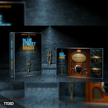 [蓝调铜管音源]Indiginus Blue Street Brass [KONTAKT]（1.31Gb）