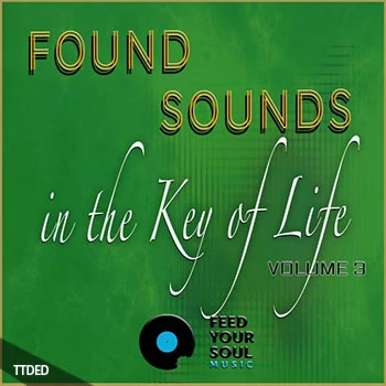 [游乐园氛围人声音效FX采样]Feed Your Soul Music Found Sounds Vol.3 Sounds in The Key of Life（85Mb）