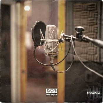 Soul Surplus Hidden Gems WAV-FANTASTiC