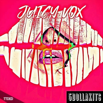 [嘻哈陷阱奇幻贝斯VOX人声采样]5DOLLAKITS Juicy Vox [WAV]（18Mb）