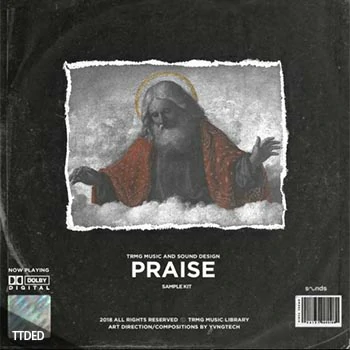 [嘻哈陷阱采样]T R M G Beat Co Praise (Sample Pack) [WAV]（89Mb）